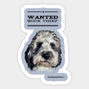 Cockapoo / Doodle Dog Sock Thief Sticker